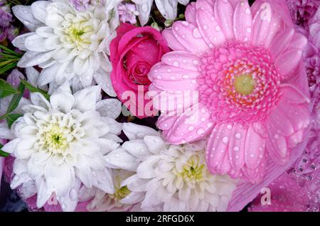 Incroyable arrangement floral multicolore dans un jardin d'été. Détail bouquet - arrangement de fleurs. Banque D'Images