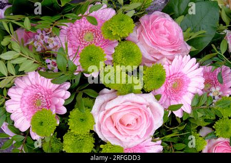 Incroyable arrangement floral multicolore dans un jardin d'été. Détail bouquet - arrangement de fleurs. Banque D'Images