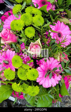 Incroyable arrangement floral multicolore dans un jardin d'été. Détail bouquet - arrangement de fleurs. Banque D'Images