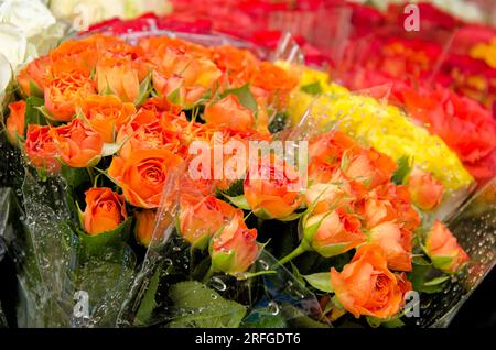 Incroyable arrangement floral multicolore dans un jardin d'été. Détail bouquet - arrangement de fleurs. Banque D'Images