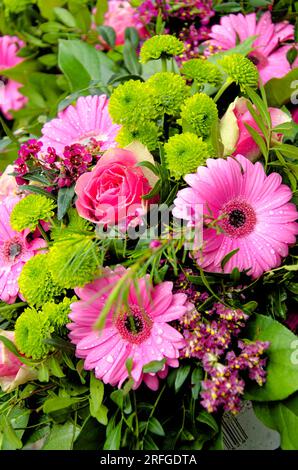 Incroyable arrangement floral multicolore dans un jardin d'été. Détail bouquet - arrangement de fleurs. Banque D'Images