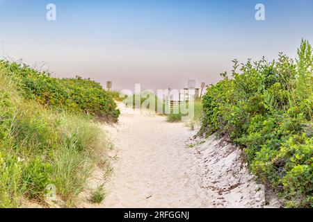 chemin à travers les dunes jusqu'à la plage de l'océan à montauk Banque D'Images