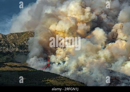 Scène dramatique avec flammes et fumée d'un feu de forêt en été. Monte Morrone, parc national de Maiella Banque D'Images