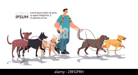 guy maître de chien marche avec les animaux de compagnie meilleurs amis animaux domestiques marche service bénévole concept de soins pour animaux de compagnie Illustration de Vecteur