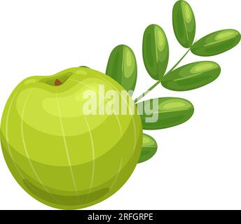 illustration vectorielle de dessin animé fruit de groseille à maquereau amla Illustration de Vecteur