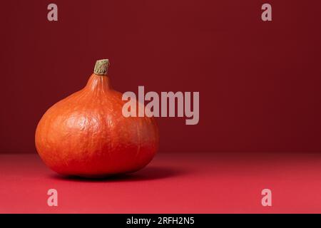 Red Kuri squash ou Hokkaido Pumpkin sur fond rouge avec Copy Space Banque D'Images