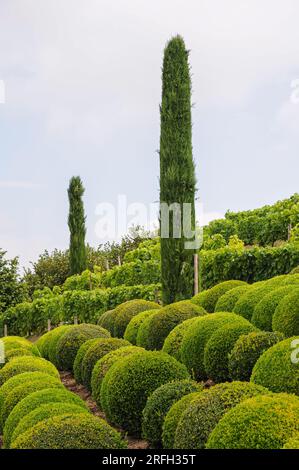 Amboise, France - 8 août 2013 : les beaux jardins du célèbre château royal d'amboise Banque D'Images