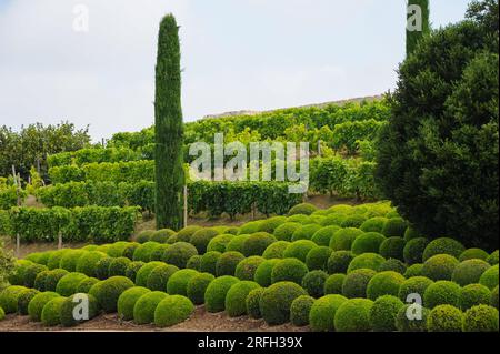 Amboise, France - 8 août 2013 : les beaux jardins du célèbre château royal d'amboise Banque D'Images