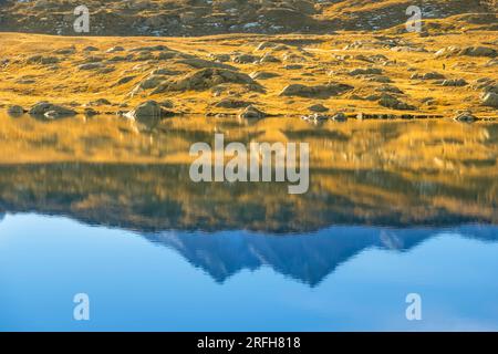 Lac Totensee sur le col de Grimsel, Valais, Suisse Banque D'Images