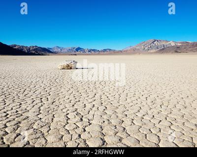 Un rocher en mouvement à l'hippodrome, une playa ou un lit de lac asséché, dans le parc national de Death Valley, Californie, États-Unis. Banque D'Images