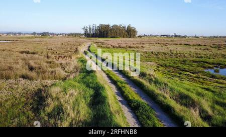 Chemin sur le terrain vert à Esteiro da Tojeira près de la lagune Aveiro à Murtosa, Aveiro, Portugal Banque D'Images