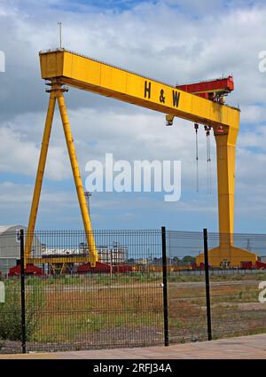 Grues jaunes Harland et Wolff, dans le chantier naval, Samson & Goliath, Queen's Island, Belfast , Irlande du Nord, Royaume-Uni, BT3 9EU Banque D'Images