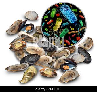 Bactéries des mollusques risque comme huîtres palourdes et moules comme fruits de mer et maladies d'origine alimentaire pathogènes et germes sur les fruits de mer crus comme un risque pour la santé de manger du co Banque D'Images