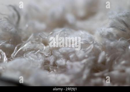 Fond blanc motif écharpe en coton blanc gros plan. Photo de haute qualité Banque D'Images