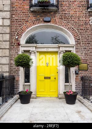 Une célèbre porte géorgienne peinte en jaune à Dublin, en Irlande Banque D'Images