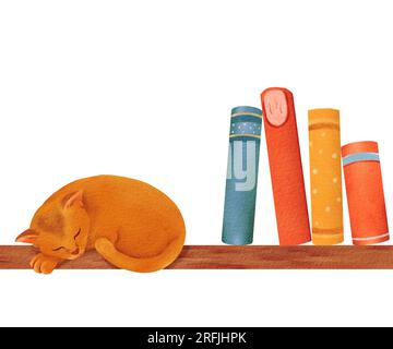 composition douillette. un petit chaton rouge dort sur une étagère. Animal drôle pour enfant. Conception pour la conception de chemise de bébé, décor de pépinière, fabrication de cartes, fête Banque D'Images