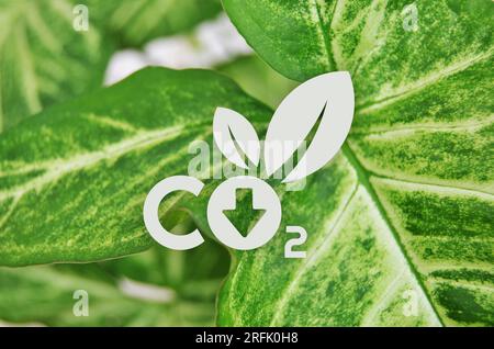 Réduire les émissions de CO2 pour arrêter le changement climatique Banque D'Images