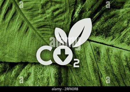 Réduire les émissions de CO2 pour arrêter le changement climatique Banque D'Images