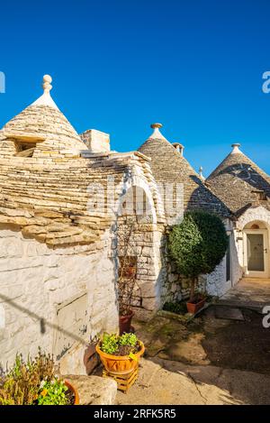 Les maisons Trullo à Alberobello, une cabane traditionnelle des Pouilles en pierre sèche avec un toit conique Banque D'Images