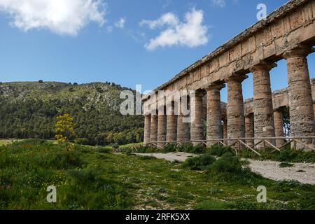 Vue sur le temple dorique Grec, Segesta, Sicile, Italie, Europe Banque D'Images