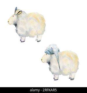 Illustration dessinée à la main à l'aquarelle, mignon mignon magique bébés moutons en peluche, chapeaux de couchage, personnage de jouet de bande dessinée. Objet unique isolé sur blanc Banque D'Images