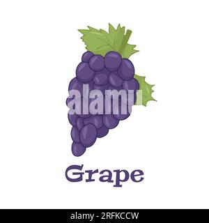 Raisins sur un fond blanc isolé. Illustration vectorielle Illustration de Vecteur