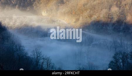 Vallée de la rivière Studenica couverte par le brouillard matinal Banque D'Images