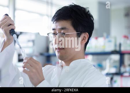 jeune scientifique mâle chinois pipettage en laboratoire Banque D'Images