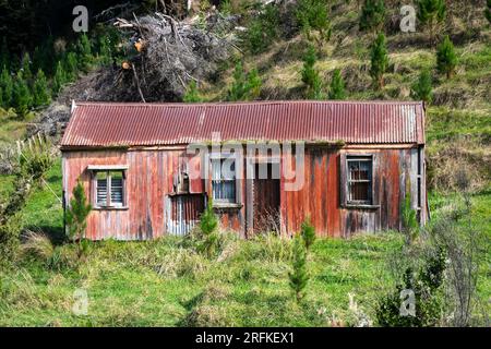 Maison abandonnée, près de Whangamomona, Île du Nord, Nouvelle-Zélande Banque D'Images