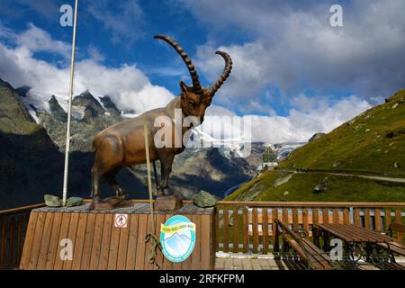 Kaiser Franz Josefs Höhe, Autriche - août 22 2022 : Statue du bouquetin alpin au Kaiser Franz Josefs Höhe et les montagnes dans le Groupe du Haut Glockner Banque D'Images