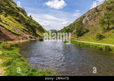 Dovedale et River Dove. Une excursion populaire le long de la magnifique rivière Dove jusqu'à ses célèbres tremplins au pied de Thorpe Cloud. Banque D'Images