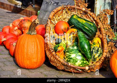 Citrouilles sur un marché à Spreewald, en Allemagne, en automne Banque D'Images