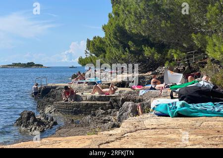 Porec, Kroatien. 30 juillet 2023. Plava Laguna, côte Adriatique près de Porec/Croatie, plage. Les vacanciers sont sur la plage de pierre, plage rocheuse au soleil et se détendre, se détendre. ? Crédit : dpa/Alamy Live News Banque D'Images