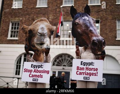 Des militants de PETA portant des « sabots » et des masques géants pour chevaux et chameaux manifestent devant l'ambassade égyptienne à Londres pour exhorter le gouvernement égyptien à interdire l'utilisation de chevaux et chameaux pour transporter les touristes dans les pyramides en Égypte. Date de la photo : Vendredi 4 août 2023. Banque D'Images