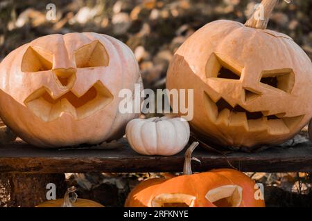 Tête de citrouille d'Halloween avec visage souriant sculpté et effrayant sur banc de bois à l'extérieur. Jack-O-Lantern, bougies allumées, feuilles séchées à l'extérieur. Halloween Composi Banque D'Images