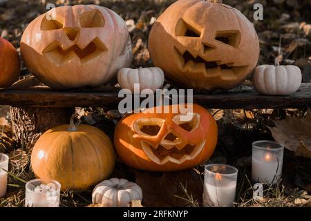 Tête de citrouille d'Halloween avec visage souriant sculpté et effrayant sur banc de bois à l'extérieur. Jack-O-Lantern, bougies allumées, feuilles séchées à l'extérieur. Halloween Composi Banque D'Images