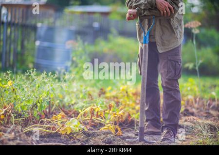 Le fermier se tient avec une pelle dans le jardin. Préparation du sol pour la plantation de légumes. Concept de jardinage. Travaux agricoles sur la plantation Banque D'Images