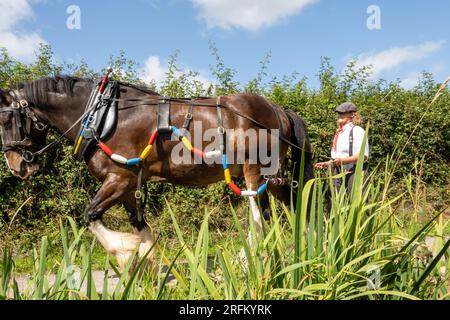 Grand Western Horseboat Company, Grand Western Canal, Tiverton Banque D'Images