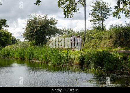 Grand Western Horseboat Company, Grand Western Canal, Tiverton Banque D'Images