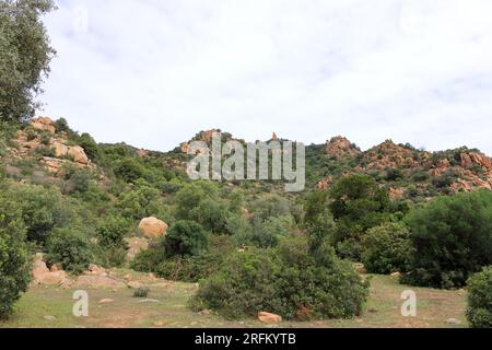 la zone de randonnée montagneuse autour de cardedu en sardaigne Banque D'Images