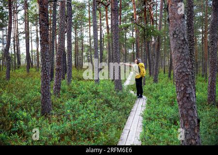 Boy touriste randonnée sur un sentier de randonnée spectaculaire Hüpassaare à la tourbière Kuresoo sur une belle journée d'été dans le parc national de Soomaa Estonie Banque D'Images