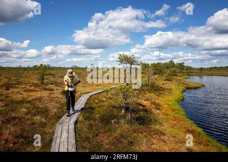 Touriste sur un beau sentier de randonnée Hüpassaare à travers la forêt magnifique à la tourbière Kuresoo sur une belle journée d'été dans le parc national de Soomaa en Estonie Banque D'Images