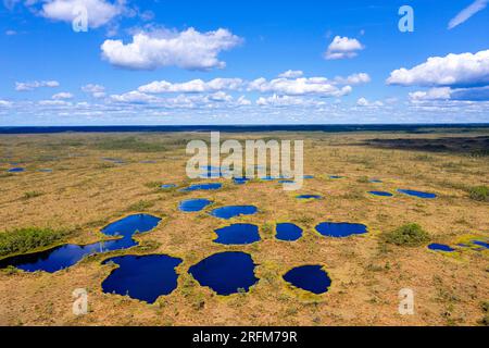 Belle vue aérienne de petits lacs et étangs dans une tourbière Kuresoo par une journée d'été ensoleillée dans le parc national de Soomaa en Estonie Banque D'Images