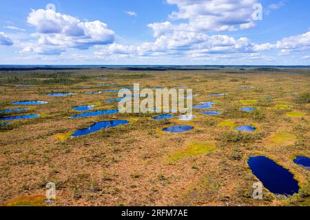 Vue aérienne spectaculaire de petits lacs et étangs dans une tourbière Kuresoo sur une belle journée d'été dans le parc national de Soomaa en Estonie Banque D'Images