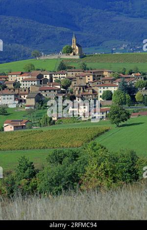 France, Rhône (69), Saint-Laurent-d'Oingt, Val d'Oingt, village du vignoble Beaujolais, village les pierres dorées / France,Rhône Saint-Laurent-d'Oingt, Val d'Oingt, village du vignoble Beaujolais, village les pierres dorées Banque D'Images