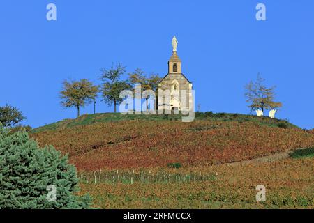 France, Rhône (69), fleurie, village du vignoble du Beaujolais, la Madone / France, Rhône ; fleurie, village du vignoble du Beaujolais, la Madone Banque D'Images