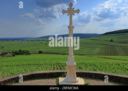 France, Côte-d'Or, Aloxe-Corton, vignobles de Bourgogne, AOC Grand cru, panorama depuis la Croix Charlemagne Banque D'Images