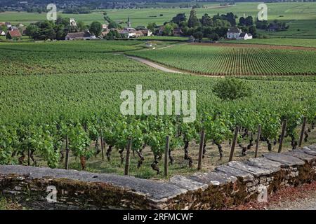 France, Côte-d'Or, Aloxe-Corton, le village, vignoble de Bourgogne, grand-cru AOC Banque D'Images