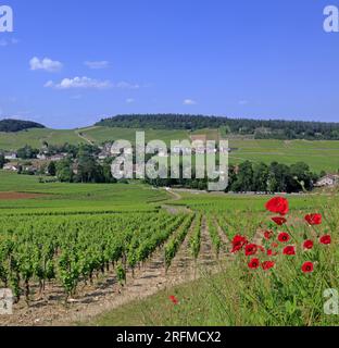 France, Saône-et-Loire, Mercurey, le village vu du vignoble, un puits au premier plan Banque D'Images