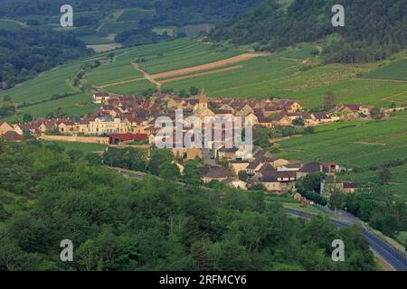 France, Côte-d'Or, Santenay, le village vu du célèbre vignoble Banque D'Images